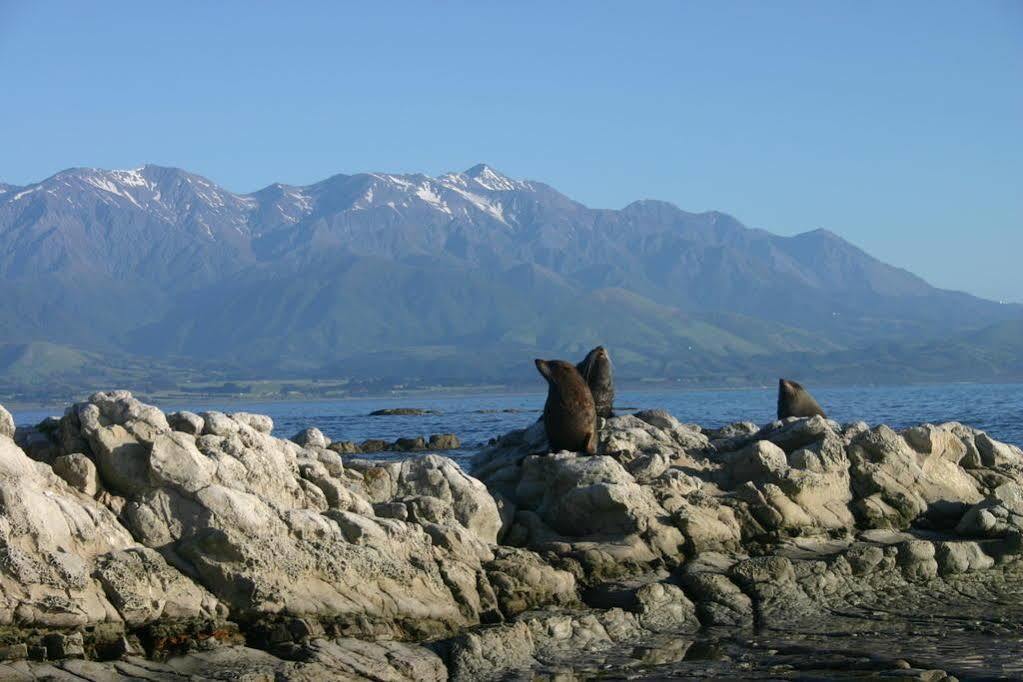 The Point B&B Kaikoura Zewnętrze zdjęcie